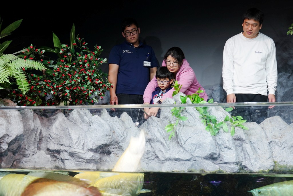 DMM Kariyushi 水族館,DMM Kariyushi,沖繩自由行,DMM Kariyushi 水族館,沖繩新景點,親子景點推薦,沖繩水族館,室內景點,雨天備案,購物中心推薦,免費停車,沖繩旅遊攻略,DMM Kariyushi 水族館評價 DMM Kariyushi 水族館,DMM Kariyushi,沖繩自由行,DMM Kariyushi 水族館,沖繩新景點,親子景點推薦,沖繩水族館,室內景點,雨天備案,購物中心推薦,免費停車,沖繩旅遊攻略,DMM Kariyushi 水族館評價