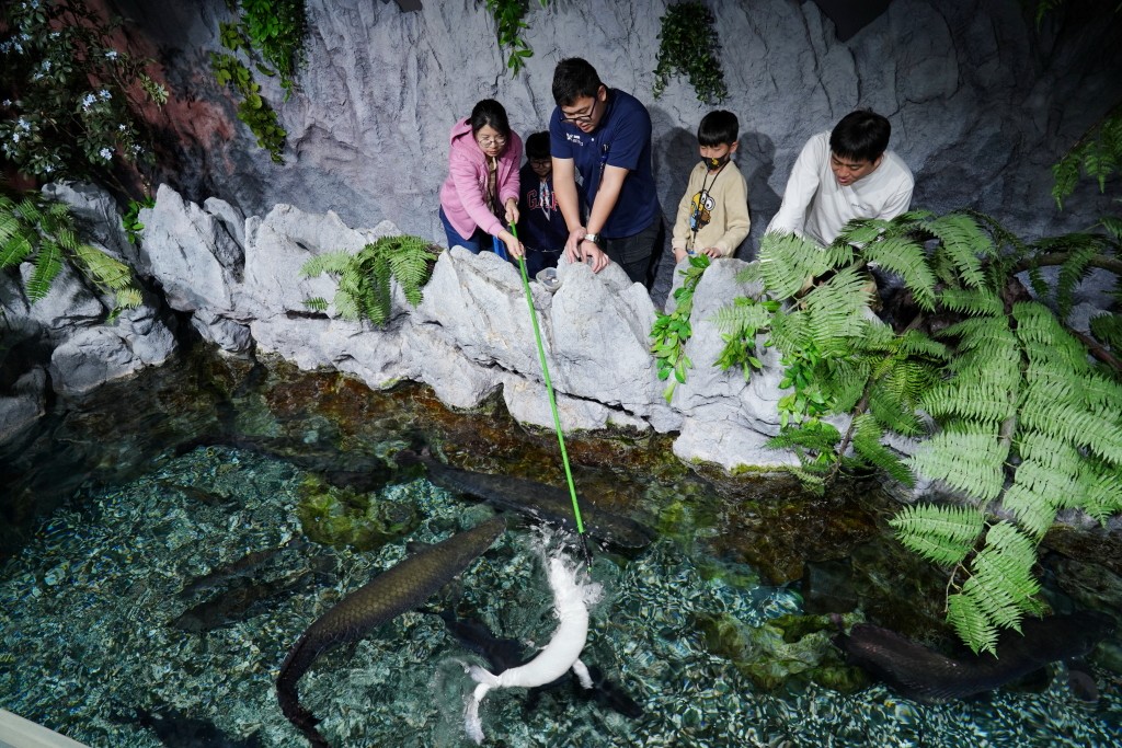 DMM Kariyushi 水族館,DMM Kariyushi,沖繩自由行,DMM Kariyushi 水族館,沖繩新景點,親子景點推薦,沖繩水族館,室內景點,雨天備案,購物中心推薦,免費停車,沖繩旅遊攻略,DMM Kariyushi 水族館評價 DMM Kariyushi 水族館,DMM Kariyushi,沖繩自由行,DMM Kariyushi 水族館,沖繩新景點,親子景點推薦,沖繩水族館,室內景點,雨天備案,購物中心推薦,免費停車,沖繩旅遊攻略,DMM Kariyushi 水族館評價
