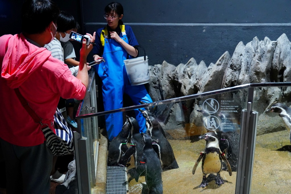 DMM Kariyushi 水族館,DMM Kariyushi,沖繩自由行,DMM Kariyushi 水族館,沖繩新景點,親子景點推薦,沖繩水族館,室內景點,雨天備案,購物中心推薦,免費停車,沖繩旅遊攻略,DMM Kariyushi 水族館評價 DMM Kariyushi 水族館,DMM Kariyushi,沖繩自由行,DMM Kariyushi 水族館,沖繩新景點,親子景點推薦,沖繩水族館,室內景點,雨天備案,購物中心推薦,免費停車,沖繩旅遊攻略,DMM Kariyushi 水族館評價
