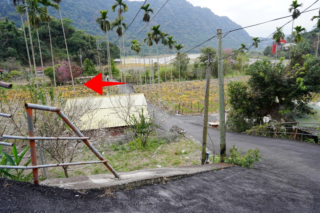 新社賞梅好去處
