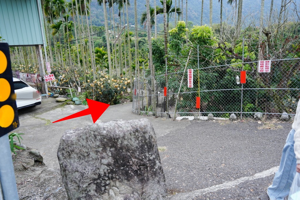 梅花隧道景觀