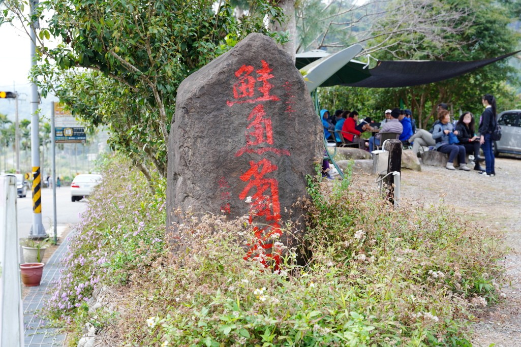 鮭魚葡萄,新社梅花隧道,新社賞梅秘境,新社梅花隧道花況,台中梅花景點,新社梅花森林, 新社梅花森林, 新社梅花森林的評論, 新社梅花隧道的評論, 新社梅花隧道的圖片, 新社梅花隧道, 台中新社梅花森林, 新社梅花森林的圖片, 新社梅花, 新社梅花開了嗎, 新社賞梅, 梅花森林, 梅花隧道, 梅花隧道梅花森林 鮭魚葡萄,新社梅花隧道,新社賞梅秘境,新社梅花隧道花況,台中梅花景點,新社梅花森林, 新社梅花森林, 新社梅花森林的評論, 新社梅花隧道的評論, 新社梅花隧道的圖片, 新社梅花隧道, 台中新社梅花森林, 新社梅花森林的圖片, 新社梅花, 新社梅花開了嗎, 新社賞梅, 梅花森林, 梅花隧道, 梅花隧道梅花森林