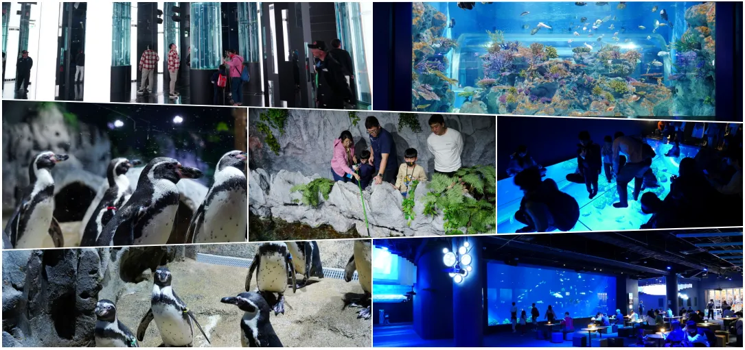 DMM KARIYUSHI 水族館