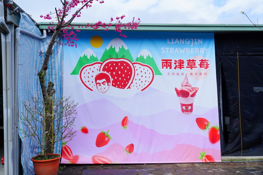 草坪頭櫻花季,兩津草莓園,草坪頭-兩津草莓園,草坪頭草莓,草坪頭摘草莓,草坪頭採草莓,草莓冰淇淋 草坪頭櫻花季,兩津草莓園,草坪頭-兩津草莓園,草坪頭草莓,草坪頭摘草莓,草坪頭採草莓,草莓冰淇淋