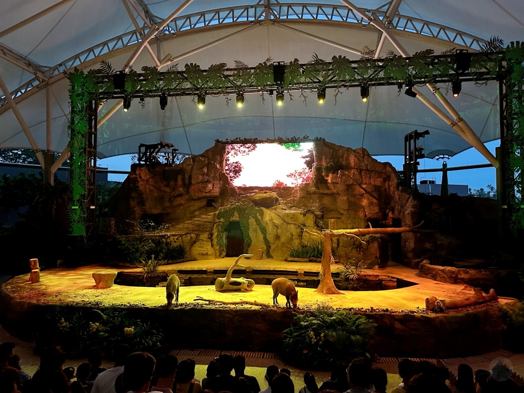 新加坡夜間野生動物園門票,新加坡夜間動物園,新加坡夜間動物園dcard,新加坡夜間動物園ptt,新加坡夜間動物園交通,新加坡夜間動物園攻略,新加坡夜間動物園預約,新加坡夜間動物園開放時間,新加坡夜間動物園地圖,新加坡夜間動物園接駁車 新加坡夜間野生動物園門票,新加坡夜間動物園,新加坡夜間動物園dcard,新加坡夜間動物園ptt,新加坡夜間動物園交通,新加坡夜間動物園攻略,新加坡夜間動物園預約,新加坡夜間動物園開放時間,新加坡夜間動物園地圖,新加坡夜間動物園接駁車