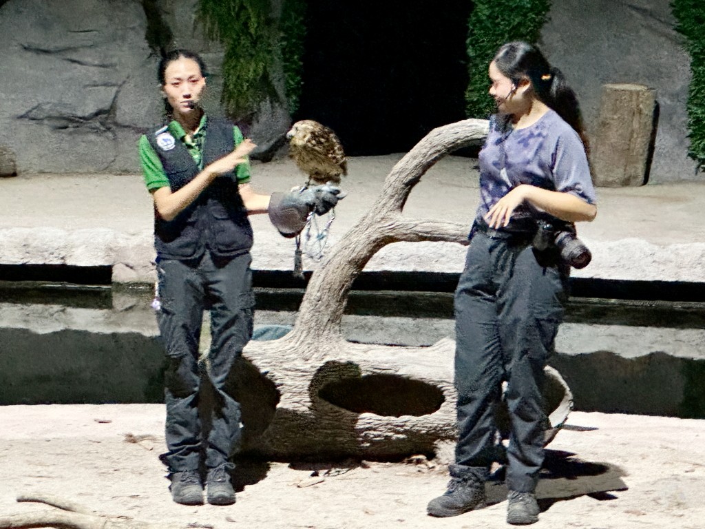 新加坡夜間野生動物園門票,新加坡夜間動物園,新加坡夜間動物園dcard,新加坡夜間動物園ptt,新加坡夜間動物園交通,新加坡夜間動物園攻略,新加坡夜間動物園預約,新加坡夜間動物園開放時間,新加坡夜間動物園地圖,新加坡夜間動物園接駁車 新加坡夜間野生動物園門票,新加坡夜間動物園,新加坡夜間動物園dcard,新加坡夜間動物園ptt,新加坡夜間動物園交通,新加坡夜間動物園攻略,新加坡夜間動物園預約,新加坡夜間動物園開放時間,新加坡夜間動物園地圖,新加坡夜間動物園接駁車