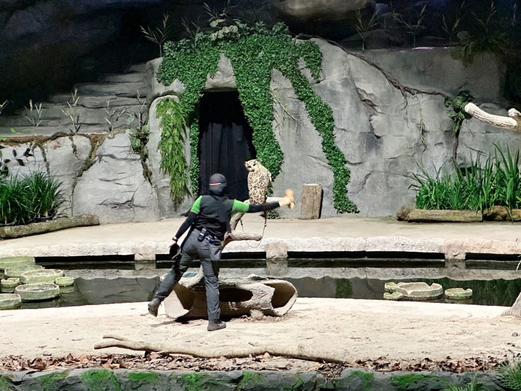 新加坡夜間野生動物園門票,新加坡夜間動物園,新加坡夜間動物園dcard,新加坡夜間動物園ptt,新加坡夜間動物園交通,新加坡夜間動物園攻略,新加坡夜間動物園預約,新加坡夜間動物園開放時間,新加坡夜間動物園地圖,新加坡夜間動物園接駁車 新加坡夜間野生動物園門票,新加坡夜間動物園,新加坡夜間動物園dcard,新加坡夜間動物園ptt,新加坡夜間動物園交通,新加坡夜間動物園攻略,新加坡夜間動物園預約,新加坡夜間動物園開放時間,新加坡夜間動物園地圖,新加坡夜間動物園接駁車