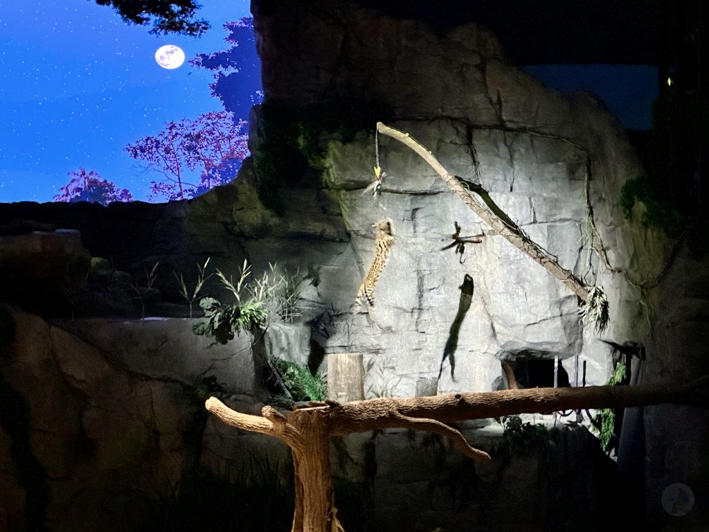 新加坡旅遊,新加坡懶人包,新加坡景點推薦,新加坡飯店推薦,新加坡交通,新加坡地鐵,新加坡自由行, 新加坡必訪景點, 濱海灣花園, 新加坡單軌電車, 新加坡交通, 新加坡住宿, 新加坡旅遊規劃, 新加坡行程, 新加坡親子旅行, 新加坡景點推薦, 新加坡自駕, 新加坡市區旅遊, 新加坡熱門景點, 新加坡景點安排, 新加坡旅遊攻略, 新加坡景點介紹, 新加坡國際機場, 濱海灣金沙, 武吉士街, 小印度, 哈芝巷, 聖淘沙島, 新加坡動物園, 新加坡夜間動物園, 新加坡植物園, 甘榜格南, 裕廊飛禽公園, 新加坡科學館, 濱海藝術中心, 牛車水, 福康寧公園, 東海岸公園, 裕廊地標購物中心, 新加坡美食推薦, 新加坡街頭小吃, 新加坡晚餐推薦, 新加坡購物中心,馬來西亞樂高樂園