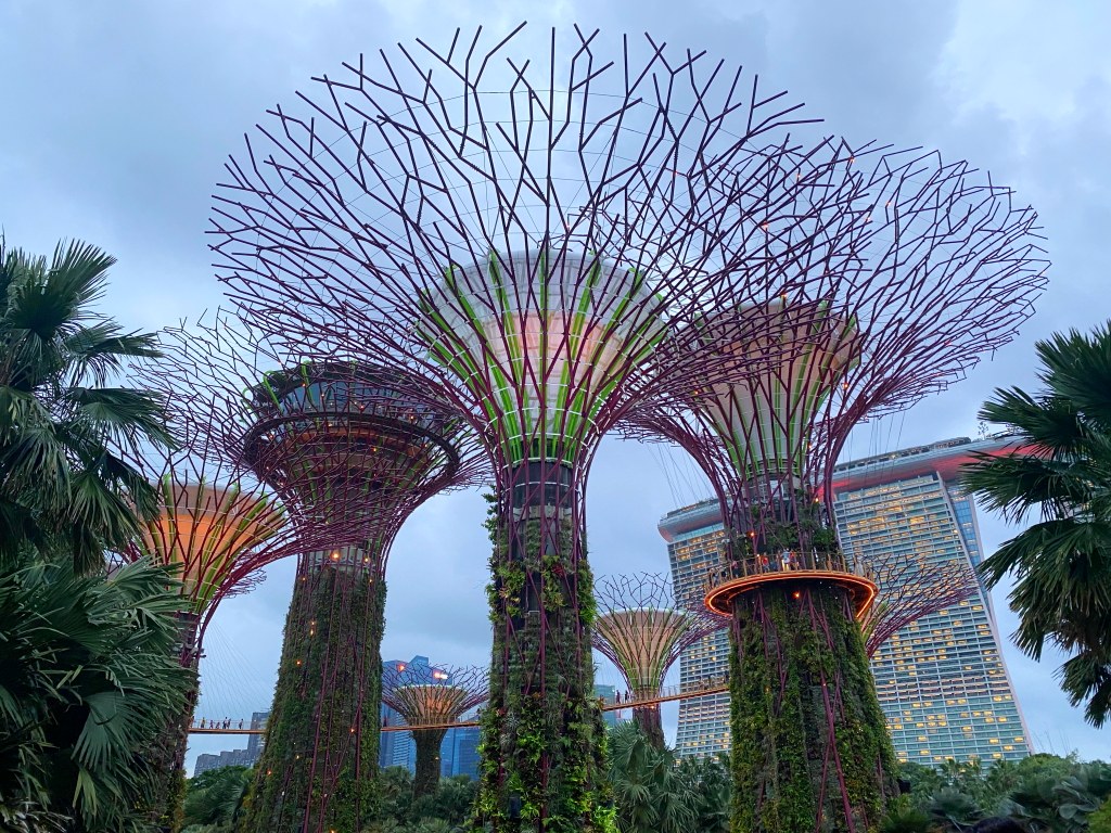 新加坡旅遊,新加坡懶人包,新加坡景點推薦,新加坡飯店推薦,新加坡交通,新加坡地鐵,新加坡自由行, 新加坡必訪景點, 濱海灣花園, 新加坡單軌電車, 新加坡交通, 新加坡住宿, 新加坡旅遊規劃, 新加坡行程, 新加坡親子旅行, 新加坡景點推薦, 新加坡自駕, 新加坡市區旅遊, 新加坡熱門景點, 新加坡景點安排, 新加坡旅遊攻略, 新加坡景點介紹, 新加坡國際機場, 濱海灣金沙, 武吉士街, 小印度, 哈芝巷, 聖淘沙島, 新加坡動物園, 新加坡夜間動物園, 新加坡植物園, 甘榜格南, 裕廊飛禽公園, 新加坡科學館, 濱海藝術中心, 牛車水, 福康寧公園, 東海岸公園, 裕廊地標購物中心, 新加坡美食推薦, 新加坡街頭小吃, 新加坡晚餐推薦, 新加坡購物中心,馬來西亞樂高樂園