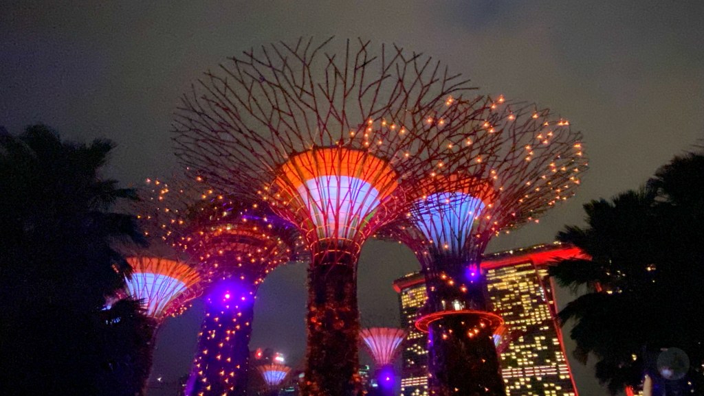 超級樹,超級樹燈光秀時間,新加坡超級樹,超級樹燈光秀,超級樹燈光秀地點,超級樹介紹,Supertree Grove,天空樹燈光秀多久,金沙酒店燈光秀時間
