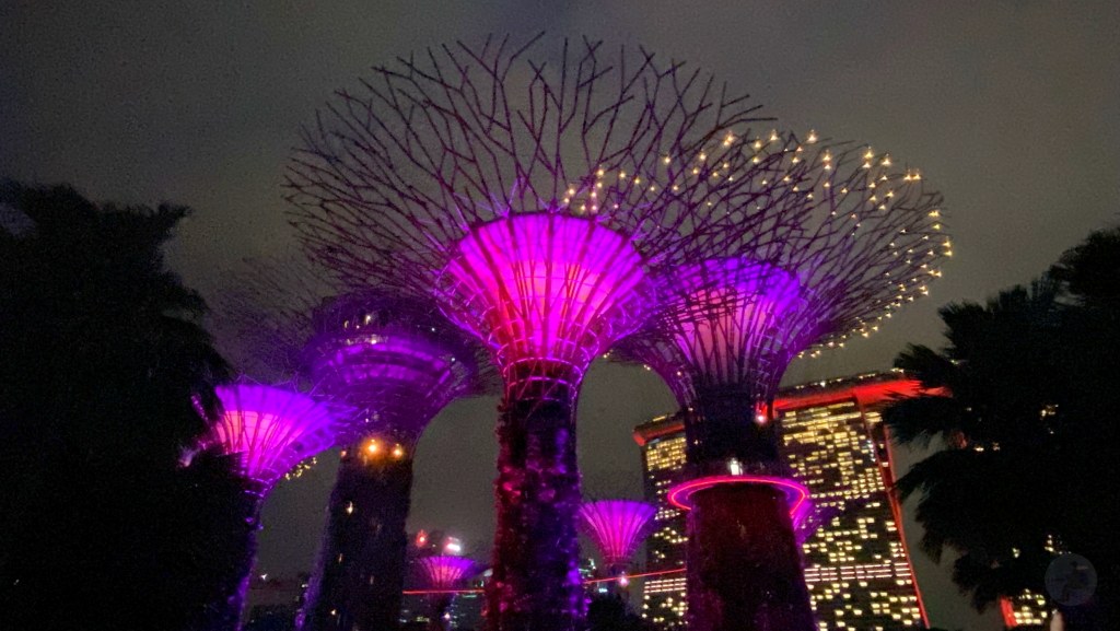 超級樹,超級樹燈光秀時間,新加坡超級樹,超級樹燈光秀,超級樹燈光秀地點,超級樹介紹,Supertree Grove,天空樹燈光秀多久,金沙酒店燈光秀時間 超級樹,超級樹燈光秀時間,新加坡超級樹,超級樹燈光秀,超級樹燈光秀地點,超級樹介紹,Supertree Grove,天空樹燈光秀多久,金沙酒店燈光秀時間