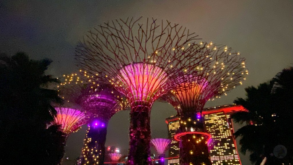 超級樹,超級樹燈光秀時間,新加坡超級樹,超級樹燈光秀,超級樹燈光秀地點,超級樹介紹,Supertree Grove,天空樹燈光秀多久,金沙酒店燈光秀時間 超級樹,超級樹燈光秀時間,新加坡超級樹,超級樹燈光秀,超級樹燈光秀地點,超級樹介紹,Supertree Grove,天空樹燈光秀多久,金沙酒店燈光秀時間