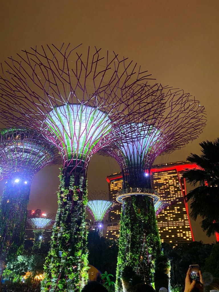 超級樹,超級樹燈光秀時間,新加坡超級樹,超級樹燈光秀,超級樹燈光秀地點,超級樹介紹,Supertree Grove,天空樹燈光秀多久,金沙酒店燈光秀時間 超級樹,超級樹燈光秀時間,新加坡超級樹,超級樹燈光秀,超級樹燈光秀地點,超級樹介紹,Supertree Grove,天空樹燈光秀多久,金沙酒店燈光秀時間