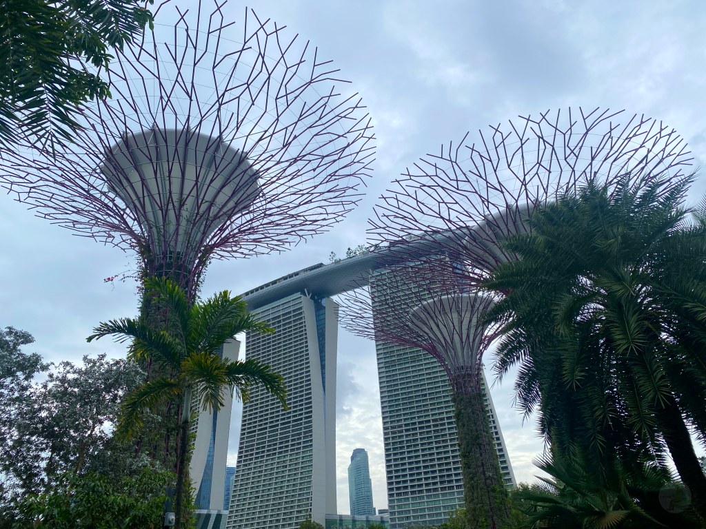 超級樹,超級樹燈光秀時間,新加坡超級樹,超級樹燈光秀,超級樹燈光秀地點,超級樹介紹,Supertree Grove,天空樹燈光秀多久,金沙酒店燈光秀時間