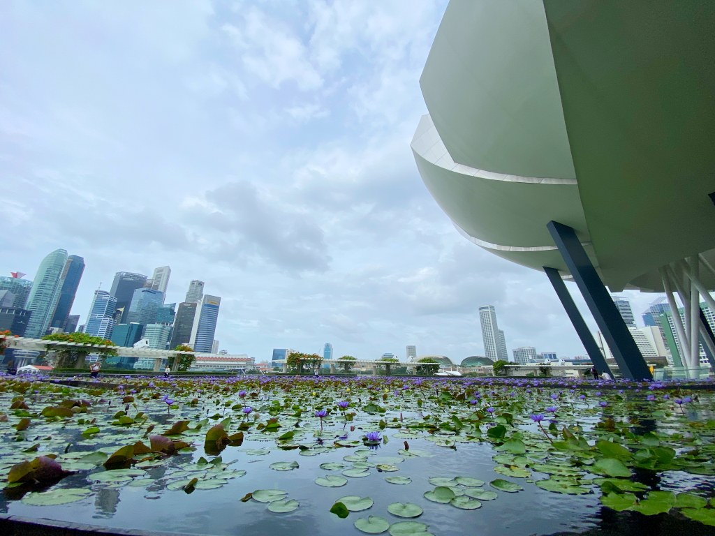 新加坡旅遊,新加坡懶人包,新加坡景點推薦,新加坡飯店推薦,新加坡交通,新加坡地鐵,新加坡自由行, 新加坡必訪景點, 濱海灣花園, 新加坡單軌電車, 新加坡交通, 新加坡住宿, 新加坡旅遊規劃, 新加坡行程, 新加坡親子旅行, 新加坡景點推薦, 新加坡自駕, 新加坡市區旅遊, 新加坡熱門景點, 新加坡景點安排, 新加坡旅遊攻略, 新加坡景點介紹, 新加坡國際機場, 濱海灣金沙, 武吉士街, 小印度, 哈芝巷, 聖淘沙島, 新加坡動物園, 新加坡夜間動物園, 新加坡植物園, 甘榜格南, 裕廊飛禽公園, 新加坡科學館, 濱海藝術中心, 牛車水, 福康寧公園, 東海岸公園, 裕廊地標購物中心, 新加坡美食推薦, 新加坡街頭小吃, 新加坡晚餐推薦, 新加坡購物中心,馬來西亞樂高樂園