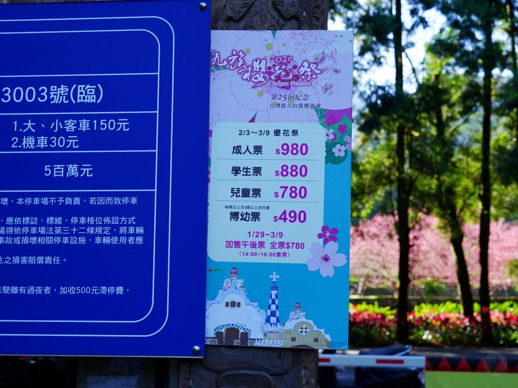 2025九族文化村櫻花季,2025九族文化村櫻花祭,台灣賞櫻景點,南投櫻花季,日月潭賞櫻,九族夜櫻,九族浴衣體驗,櫻花屋台市集