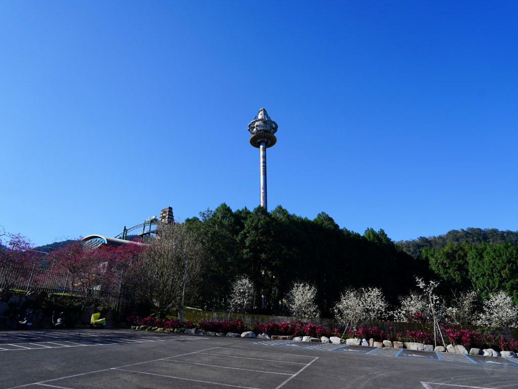2025九族文化村櫻花季,2025九族文化村櫻花祭,台灣賞櫻景點,南投櫻花季,日月潭賞櫻,九族夜櫻,九族浴衣體驗,櫻花屋台市集