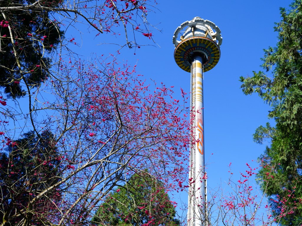 2025九族文化村櫻花季,2025九族文化村櫻花祭,台灣賞櫻景點,南投櫻花季,日月潭賞櫻,九族夜櫻,九族浴衣體驗,櫻花屋台市集