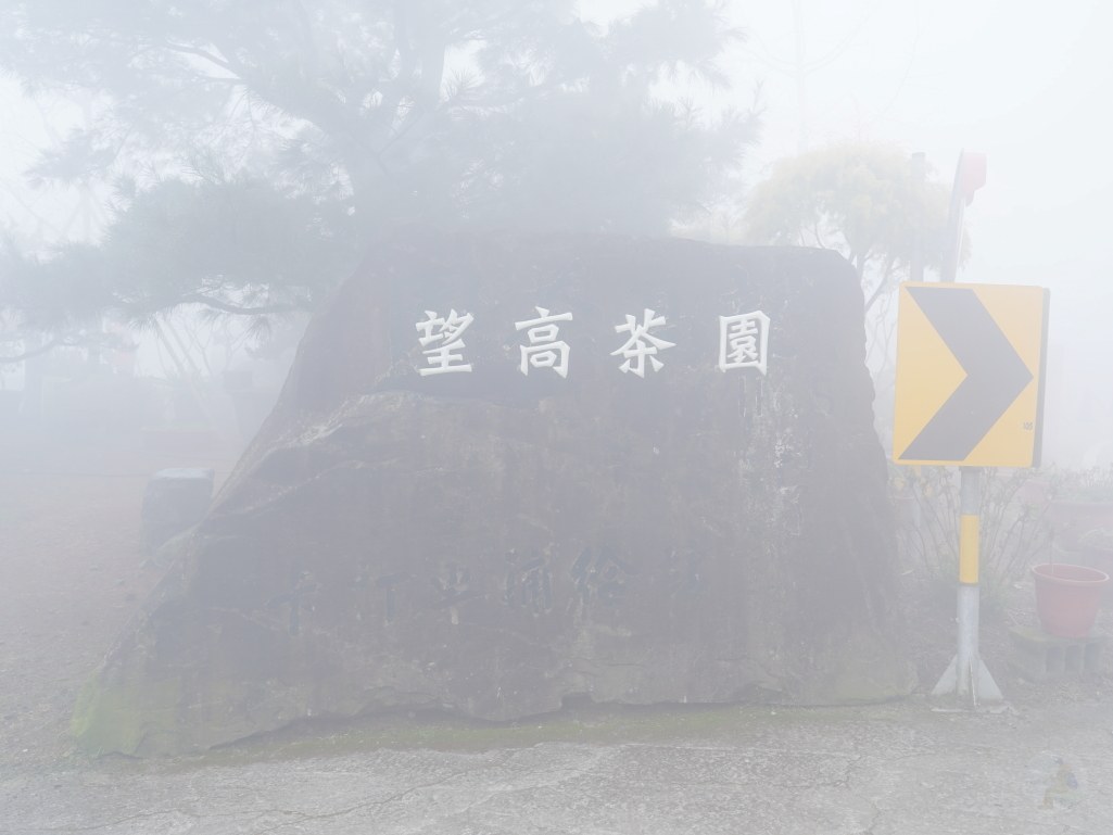 望高茶園,2025望高茶園,望高茶園櫻花,望高茶園櫻花 花況,南投賞櫻景點,南投賞櫻秘境,望高櫻花林,望高櫻花 望高茶園,2025望高茶園,望高茶園櫻花,望高茶園櫻花 花況,南投賞櫻景點,南投賞櫻秘境,望高櫻花林,望高櫻花