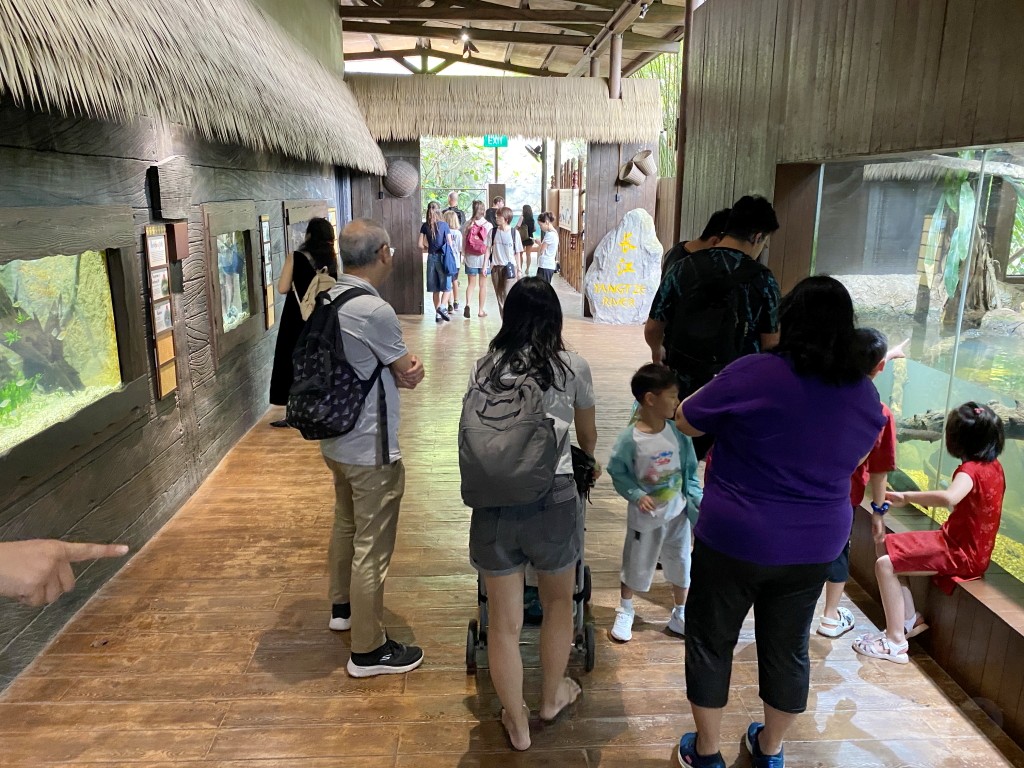 新加坡動物園,新加坡河川生態園,新加坡河川生態園玩多久,新加坡河川生態園官網,新加坡河川生態園預約,河川生態園亞馬遜河探索,新加坡河川生態園交通,河川生態園餐廳,河川生態園地圖,河川生態園英文,新加坡河川生態園 交通,新加坡河川生態園 門票,新加坡自由行