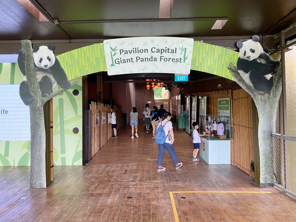 新加坡動物園,新加坡河川生態園,新加坡河川生態園玩多久,新加坡河川生態園官網,新加坡河川生態園預約,河川生態園亞馬遜河探索,新加坡河川生態園交通,河川生態園餐廳,河川生態園地圖,河川生態園英文,新加坡河川生態園 交通,新加坡河川生態園 門票,新加坡自由行