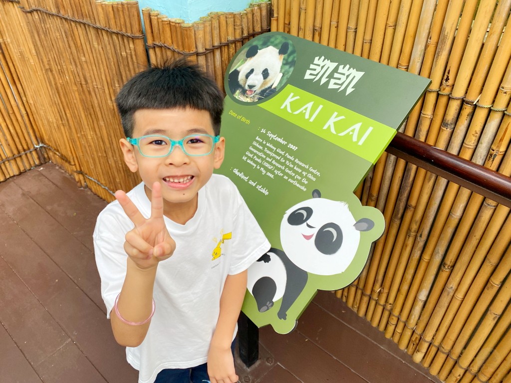 新加坡旅遊,新加坡懶人包,新加坡景點推薦,新加坡飯店推薦,新加坡交通,新加坡地鐵,新加坡自由行, 新加坡必訪景點, 濱海灣花園, 新加坡單軌電車, 新加坡交通, 新加坡住宿, 新加坡旅遊規劃, 新加坡行程, 新加坡親子旅行, 新加坡景點推薦, 新加坡自駕, 新加坡市區旅遊, 新加坡熱門景點, 新加坡景點安排, 新加坡旅遊攻略, 新加坡景點介紹, 新加坡國際機場, 濱海灣金沙, 武吉士街, 小印度, 哈芝巷, 聖淘沙島, 新加坡動物園, 新加坡夜間動物園, 新加坡植物園, 甘榜格南, 裕廊飛禽公園, 新加坡科學館, 濱海藝術中心, 牛車水, 福康寧公園, 東海岸公園, 裕廊地標購物中心, 新加坡美食推薦, 新加坡街頭小吃, 新加坡晚餐推薦, 新加坡購物中心,馬來西亞樂高樂園