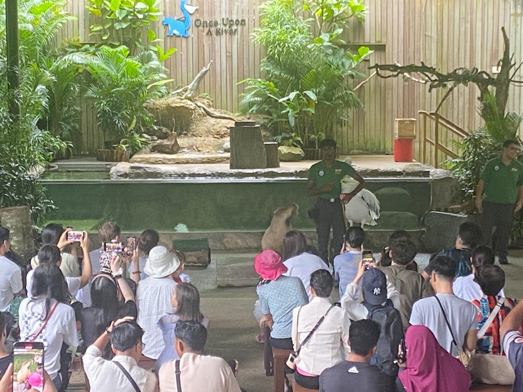 新加坡動物園,新加坡河川生態園,新加坡河川生態園玩多久,新加坡河川生態園官網,新加坡河川生態園預約,河川生態園亞馬遜河探索,新加坡河川生態園交通,河川生態園餐廳,河川生態園地圖,河川生態園英文,新加坡河川生態園 交通,新加坡河川生態園 門票,新加坡自由行