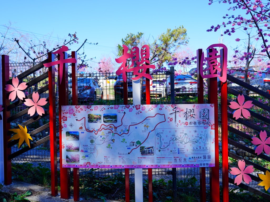 福壽山千櫻園, 2025最新花況, 櫻花, 目前花況, 旅遊, 2025櫻花季, 富士櫻, 山櫻花, 花海, 櫻花隧道, 山谷景色, 台中賞櫻, 福壽山農場, 粉紅花海, 旅行, 戶外活動, 春季旅遊, 賞櫻, 櫻花秘境, 野餐, 休閒旅遊, 自然風光, 台中旅遊景點, 賞櫻熱點