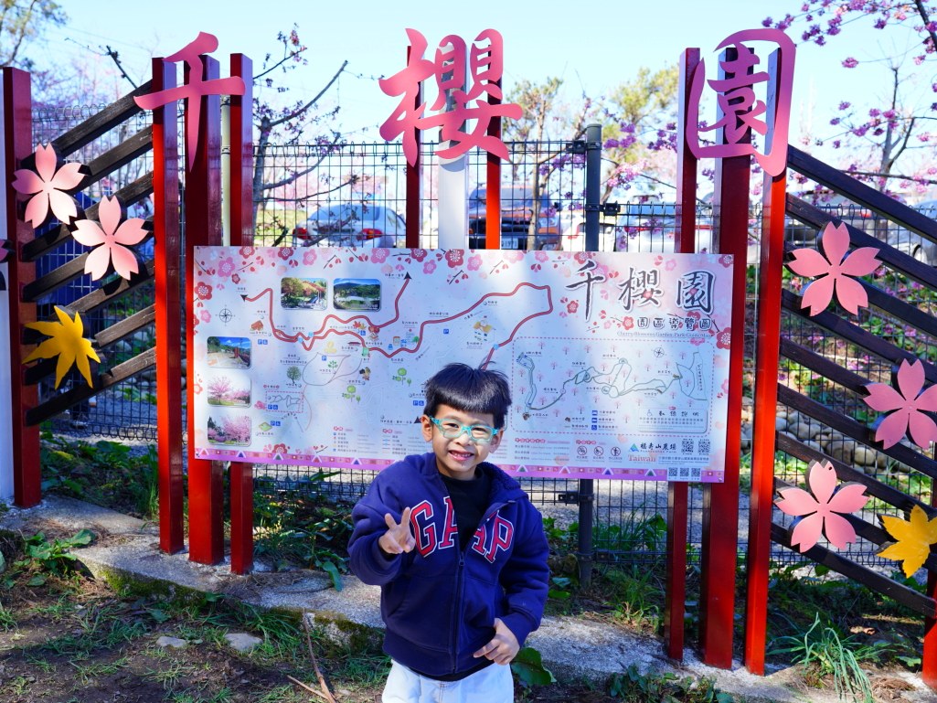 福壽山千櫻園, 2025最新花況, 櫻花, 目前花況, 旅遊, 2025櫻花季, 富士櫻, 山櫻花, 花海, 櫻花隧道, 山谷景色, 台中賞櫻, 福壽山農場, 粉紅花海, 旅行, 戶外活動, 春季旅遊, 賞櫻, 櫻花秘境, 野餐, 休閒旅遊, 自然風光, 台中旅遊景點, 賞櫻熱點