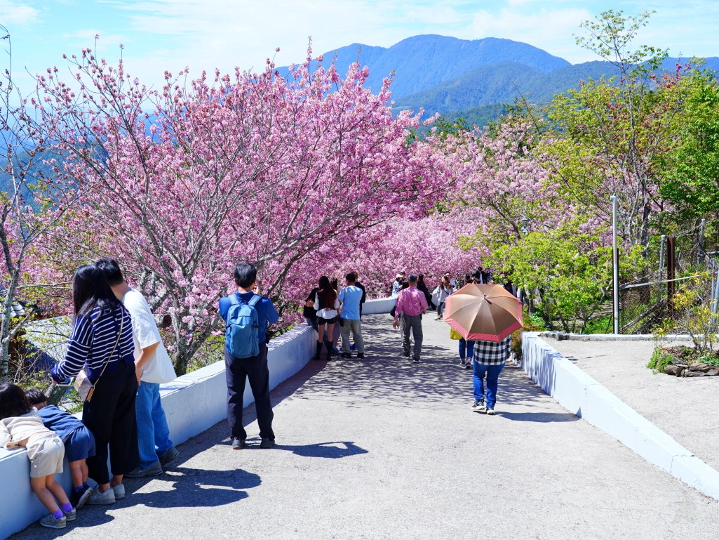 星嵐拉麵日式木屋建築外觀