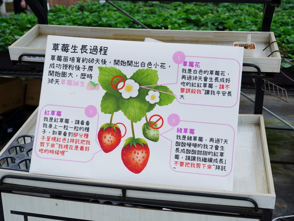  @旅咖趴趴走｜台中親子旅遊、在地美食地圖與最新實用 3C 科技開箱