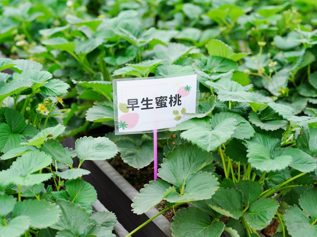  @旅咖趴趴走｜台中親子旅遊、在地美食地圖與最新實用 3C 科技開箱