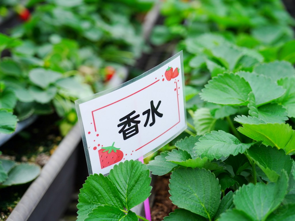  @旅咖趴趴走｜台中親子旅遊、在地美食地圖與最新實用 3C 科技開箱