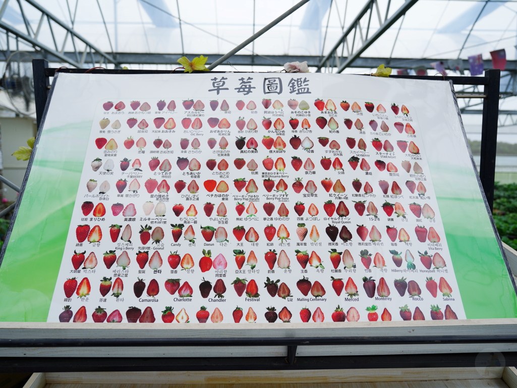  @旅咖趴趴走｜台中親子旅遊、在地美食地圖與最新實用 3C 科技開箱