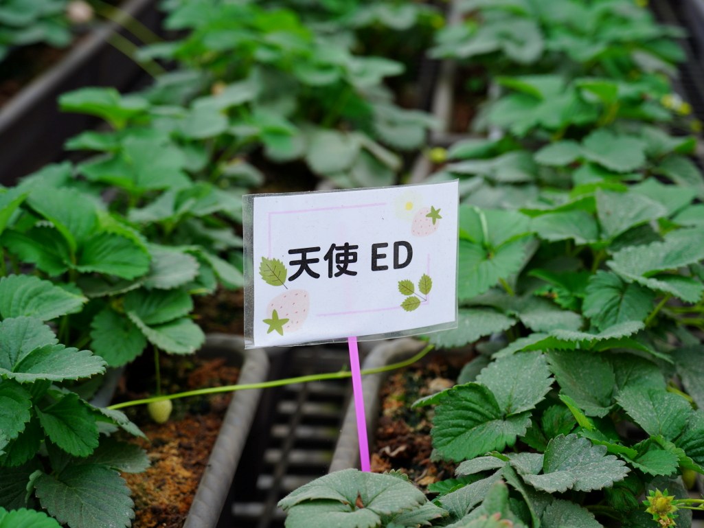  @旅咖趴趴走｜台中親子旅遊、在地美食地圖與最新實用 3C 科技開箱