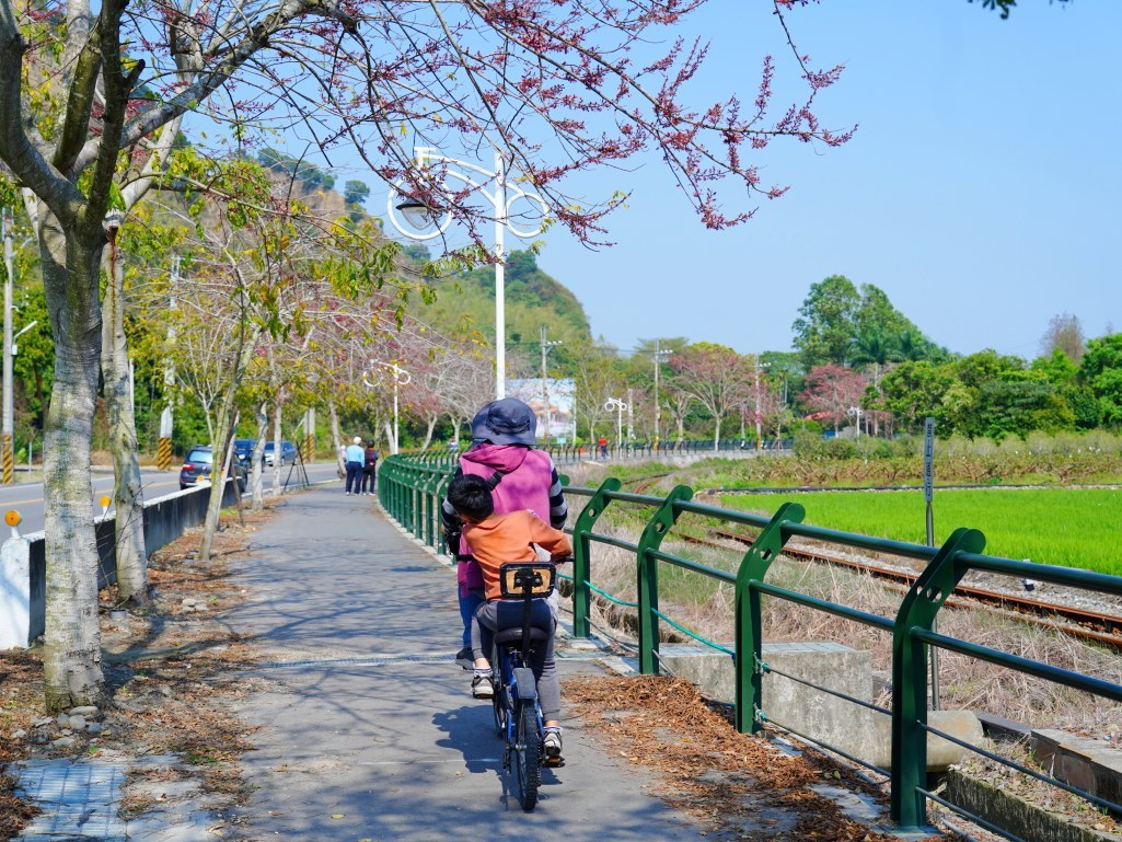 適合全家大小散步的自行車道