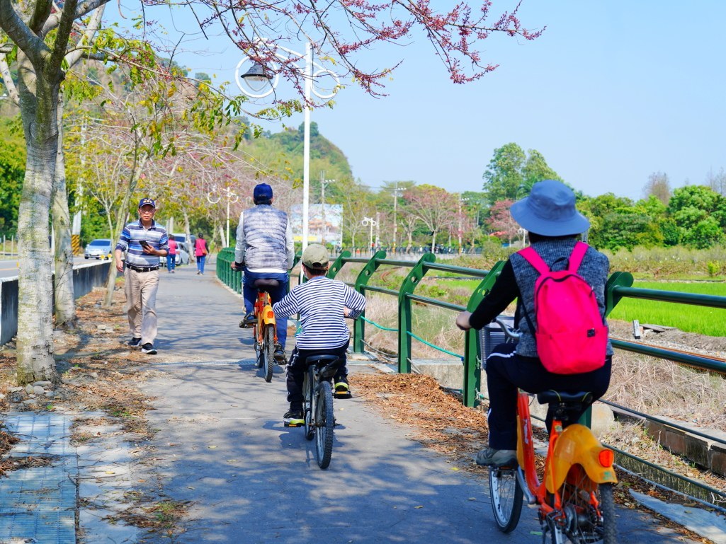 許多自行車愛好者沿途欣賞