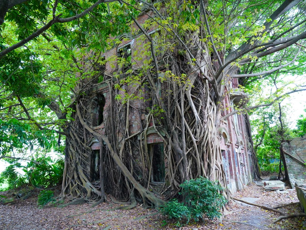 鬼屋咖啡, 民雄鬼屋, 嘉義咖啡廳, 劉家古厝, 嘉義旅遊景點, 嘉義民雄, 嘉義特色咖啡廳, 鬼屋主題咖啡, 嘉義紅茶, 巧克力鬆餅, 民雄旅遊, 傳奇故事景點, 民雄打卡景點, 嘉義小點心, 民雄咖啡店, 嘉義古建築, 咖啡與小點心, 旅遊咖啡廳, 嘉義必訪咖啡廳, 嘉義景點推薦 鬼屋咖啡, 民雄鬼屋, 嘉義咖啡廳, 劉家古厝, 嘉義旅遊景點, 嘉義民雄, 嘉義特色咖啡廳, 鬼屋主題咖啡, 嘉義紅茶, 巧克力鬆餅, 民雄旅遊, 傳奇故事景點, 民雄打卡景點, 嘉義小點心, 民雄咖啡店, 嘉義古建築, 咖啡與小點心, 旅遊咖啡廳, 嘉義必訪咖啡廳, 嘉義景點推薦