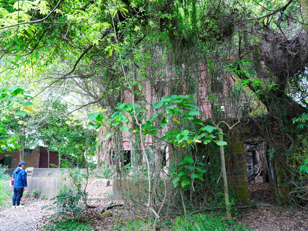 鬼屋咖啡, 民雄鬼屋, 嘉義咖啡廳, 劉家古厝, 嘉義旅遊景點, 嘉義民雄, 嘉義特色咖啡廳, 鬼屋主題咖啡, 嘉義紅茶, 巧克力鬆餅, 民雄旅遊, 傳奇故事景點, 民雄打卡景點, 嘉義小點心, 民雄咖啡店, 嘉義古建築, 咖啡與小點心, 旅遊咖啡廳, 嘉義必訪咖啡廳, 嘉義景點推薦 鬼屋咖啡, 民雄鬼屋, 嘉義咖啡廳, 劉家古厝, 嘉義旅遊景點, 嘉義民雄, 嘉義特色咖啡廳, 鬼屋主題咖啡, 嘉義紅茶, 巧克力鬆餅, 民雄旅遊, 傳奇故事景點, 民雄打卡景點, 嘉義小點心, 民雄咖啡店, 嘉義古建築, 咖啡與小點心, 旅遊咖啡廳, 嘉義必訪咖啡廳, 嘉義景點推薦