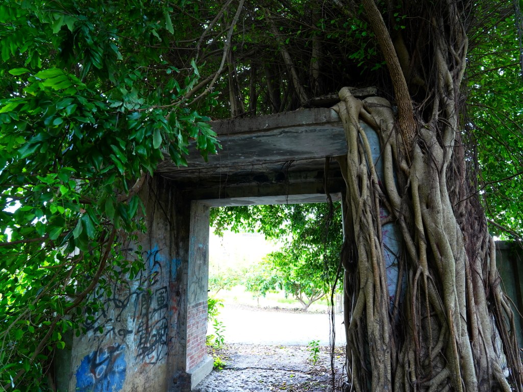 鬼屋咖啡, 民雄鬼屋, 嘉義咖啡廳, 劉家古厝, 嘉義旅遊景點, 嘉義民雄, 嘉義特色咖啡廳, 鬼屋主題咖啡, 嘉義紅茶, 巧克力鬆餅, 民雄旅遊, 傳奇故事景點, 民雄打卡景點, 嘉義小點心, 民雄咖啡店, 嘉義古建築, 咖啡與小點心, 旅遊咖啡廳, 嘉義必訪咖啡廳, 嘉義景點推薦