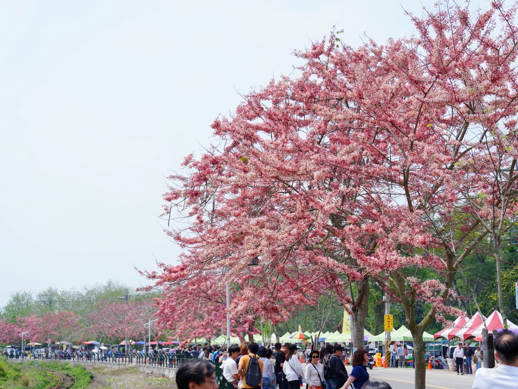 充滿層次感的鐵道彎道拍攝點