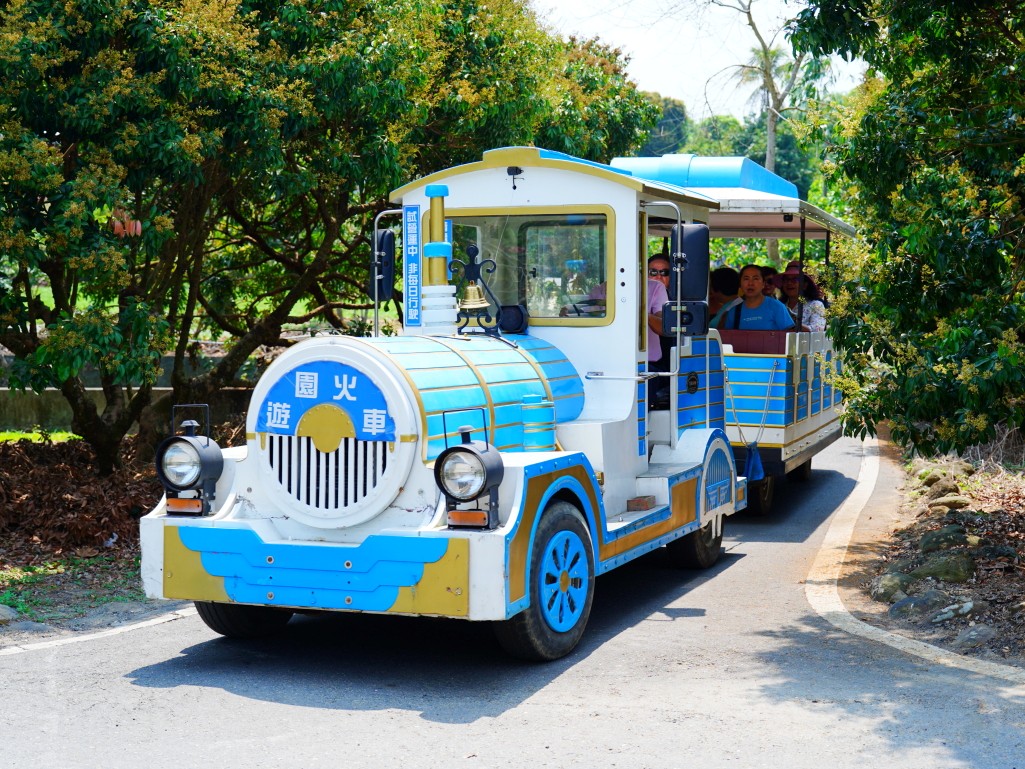 造型吸睛的遊園小火車接駁