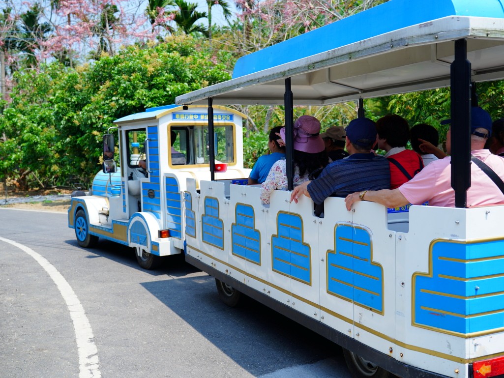 小火車穿梭在綠意之中