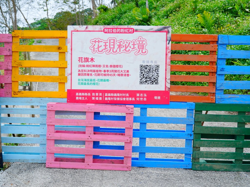 關於花旗木品種的小故事