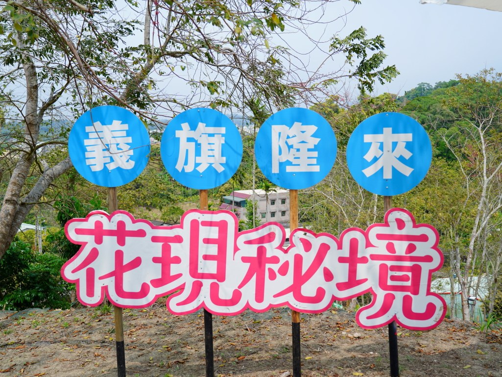 義旗隆來，花現秘境打卡點