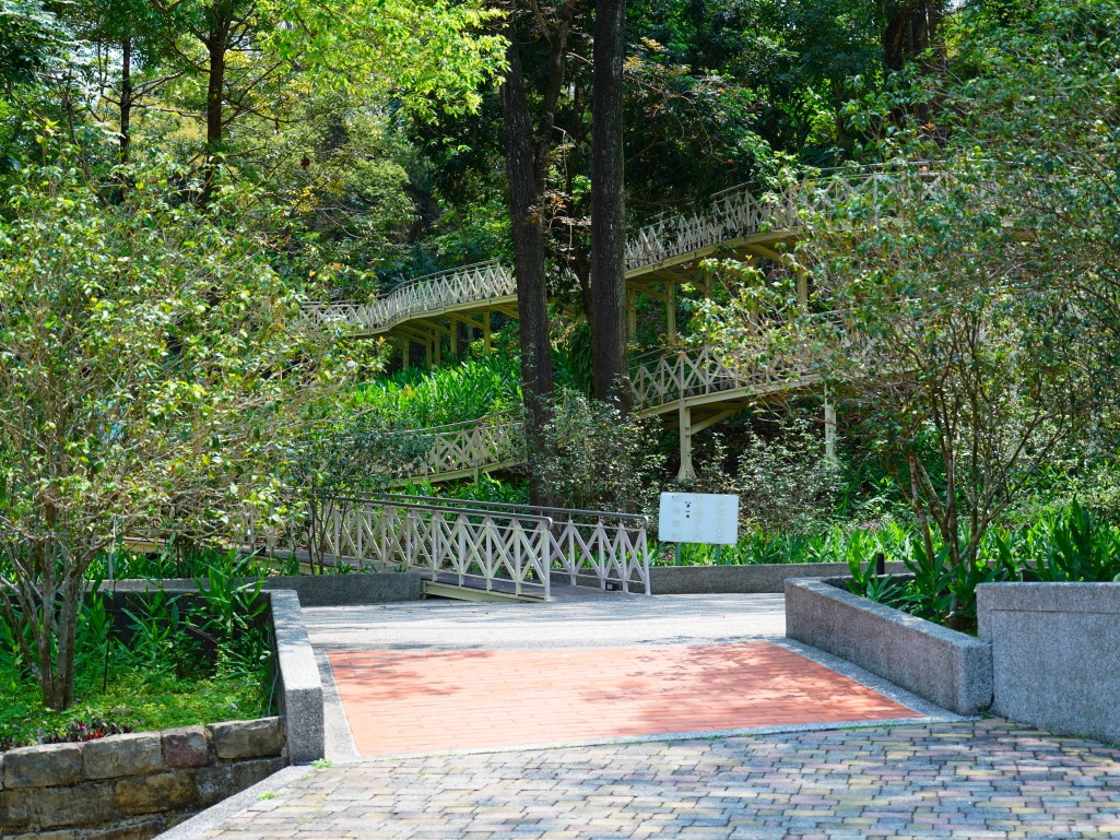 竹崎親水公園,竹崎公園,嘉義花旗木,花旗木花海,花旗木季節,行千吊橋,千禧橋,竹崎天空走廊,天空步道,嘉義賞花,嘉義旅遊,春季花景,粉紅花海,花旗木打卡,竹崎花旗木,嘉義景點推薦,森林系景點,花旗木開花時間,嘉義一日遊,粉紅控必拍