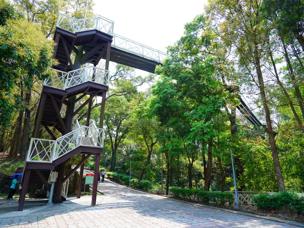 竹崎親水公園,竹崎公園,嘉義花旗木,花旗木花海,花旗木季節,行千吊橋,千禧橋,竹崎天空走廊,天空步道,嘉義賞花,嘉義旅遊,春季花景,粉紅花海,花旗木打卡,竹崎花旗木,嘉義景點推薦,森林系景點,花旗木開花時間,嘉義一日遊,粉紅控必拍