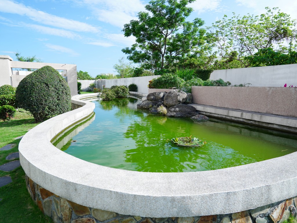 戶外餵魚池