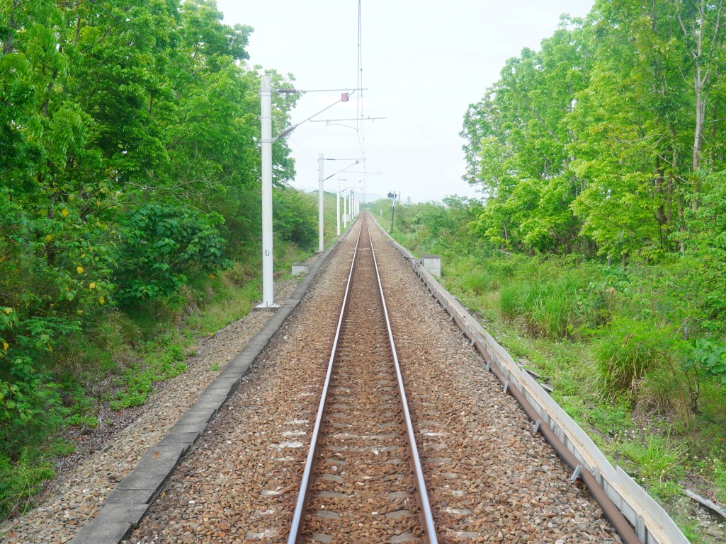 花東線, 單軌鐵路, 花蓮至知本, 藍皮解憂號, 列車交會, 行車效率, 班次限制, 一票難求, 鐵路瓶頸, 雙軌化, 電氣化, 花東雙軌計畫, 運輸改善, 鐵道建設, 行車時間縮短, 交通部計畫, 鐵路升級, 台東交通, 東部運能, 台鐵改善, 交通基礎建設