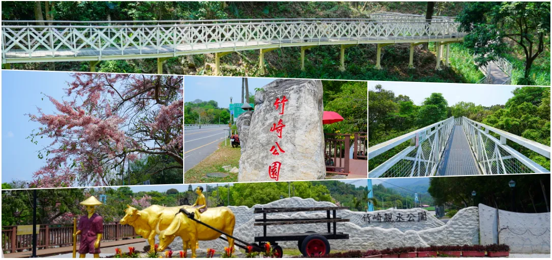 嘉義竹崎親水公園粉紅花旗木盛開中！花仙子步道、天空走廊美拍、竹崎公園賞花一日遊懶人包